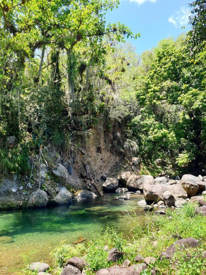 באס-טר Gite 4 Etoiles, La Vieille Sucrerie St Claude Guadeloupe, Jacuzzi Spa Privatif, Vue Exceptionnelle Sur La Mer Des Caraibes מראה חיצוני תמונה