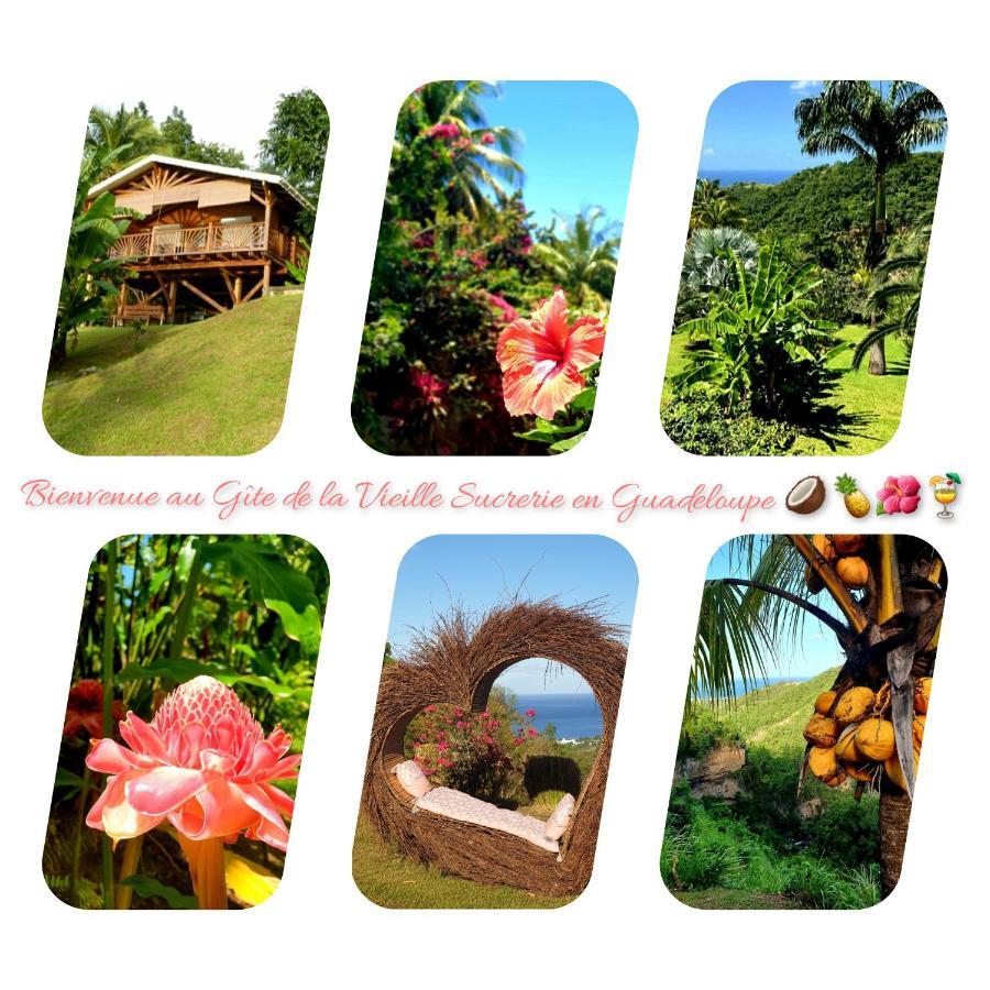 באס-טר Gite 4 Etoiles, La Vieille Sucrerie St Claude Guadeloupe, Jacuzzi Spa Privatif, Vue Exceptionnelle Sur La Mer Des Caraibes מראה חיצוני תמונה