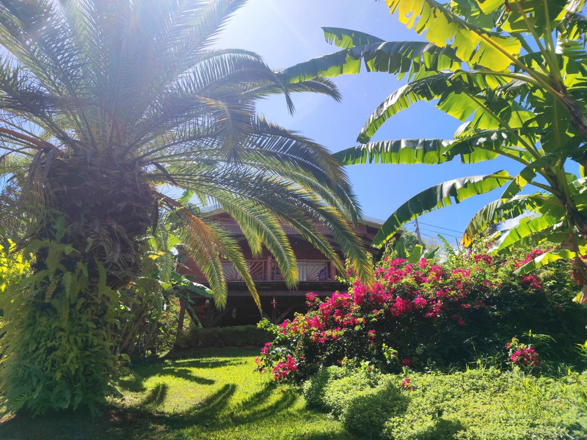 באס-טר Gite 4 Etoiles, La Vieille Sucrerie St Claude Guadeloupe, Jacuzzi Spa Privatif, Vue Exceptionnelle Sur La Mer Des Caraibes מראה חיצוני תמונה